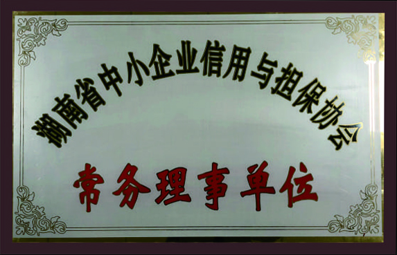 湖南省中小企業(yè)信用與擔保協(xié)會常務理事單位