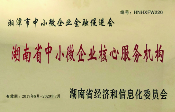 湖南省中小微企業(yè)核心服務機構(gòu)
