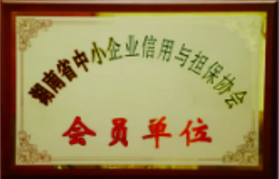 湖南省中小企業(yè)信用與擔保協(xié)會會員單位