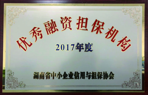 2017年度優(yōu)秀融資擔保機構(gòu)